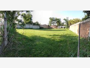 Terreno en venta en Cocoyoc, Yautepec — foto 3 de 6