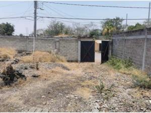 Terreno en venta en Narciso Mendoza, Cuautla — foto 2 de 6