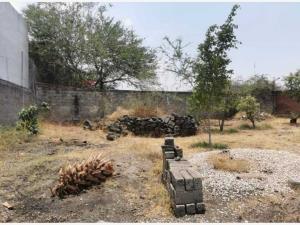 Terreno en venta en Narciso Mendoza, Cuautla — foto 3 de 6