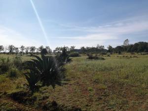 Terreno en venta en Huasca de Ocampo Centro, Huasca de Ocampo — foto 3 de 11