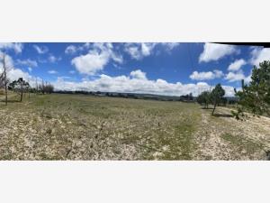Terreno en venta en Rancho Barranca de Loma Alta, San Felipe — foto 3 de 15