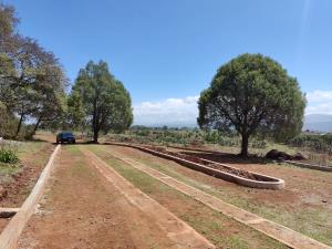 Terreno en venta en Huasca de Ocampo Centro, Huasca de Ocampo — foto 3 de 68