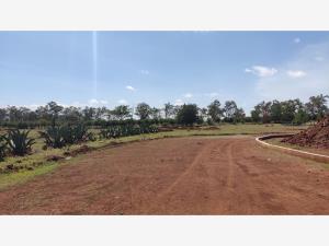 Terreno en venta en Huasca de Ocampo Centro, Huasca de Ocampo — foto 2 de 54