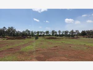 Terreno en venta en Huasca de Ocampo Centro, Huasca de Ocampo — foto 2 de 73