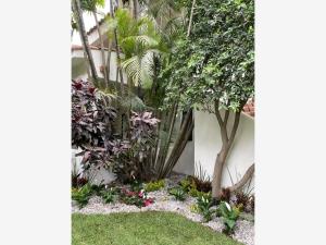 Departamento en venta en Reforma, Cuernavaca — foto 2 de 17