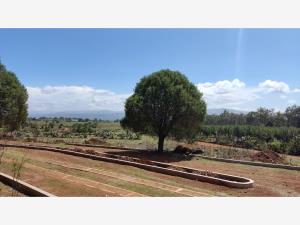 Terreno en venta en Cerritos, Huasca de Ocampo — foto 3 de 70