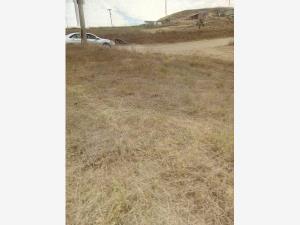 Terreno en venta en Lomas Altas, Playas de Rosarito — foto 2 de 14