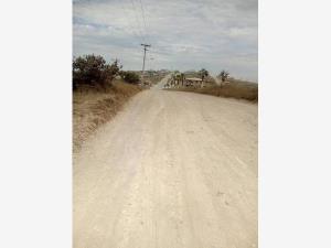 Terreno en venta en Lomas Altas, Playas de Rosarito — foto 3 de 14