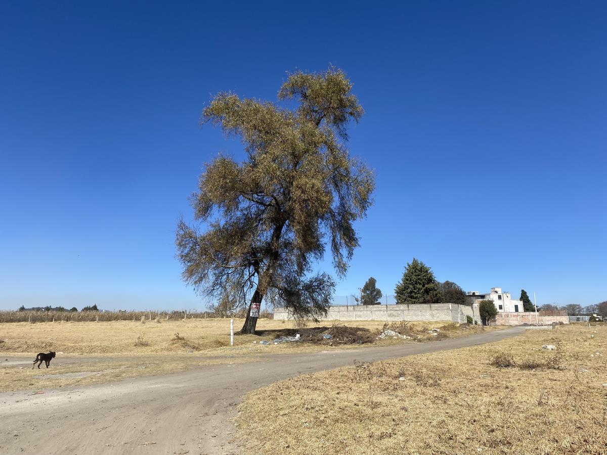 Terreno en venta en San Miguel Totocuitlapilco, Metepec — foto 1 de 4