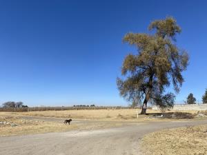Terreno en venta en San Miguel Totocuitlapilco, Metepec — foto 3 de 4