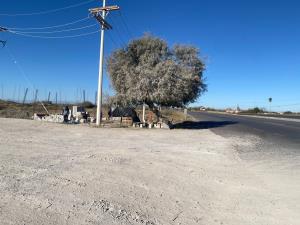 Terreno en renta en Luchana, San Pedro — foto 3 de 6