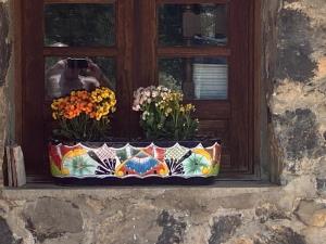 Casa en venta en Los Timbres, Temascaltepec — foto 3 de 43