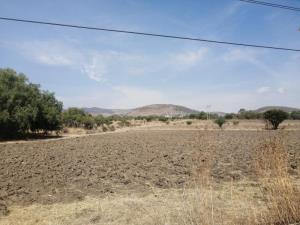 Terreno en venta en Españita, San José Iturbide — foto 2 de 3