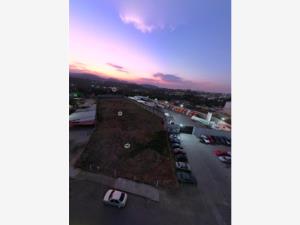 Terreno en venta en San Mateo Segunda Sección, Tepeji del Río de Ocampo — foto 3 de 12