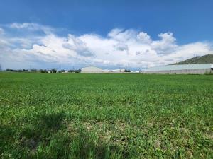 Terreno en venta en La Purificación Tepetitla, Texcoco — foto 3 de 4