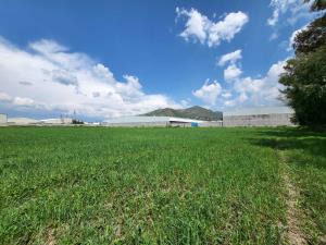 Terreno en venta en La Purificación Tepetitla, Texcoco — foto 2 de 4