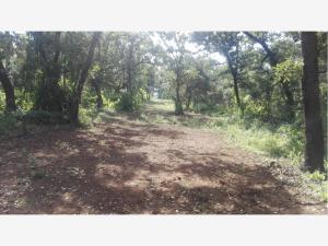 Terreno en venta en Huasca de Ocampo Centro, Huasca de Ocampo — foto 3 de 85