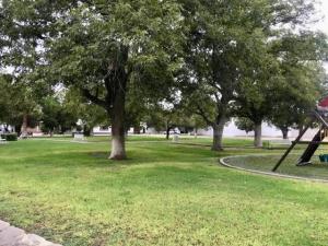 Terreno en venta en Real del Nogalar, Torreón — foto 2 de 5