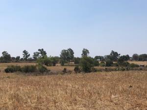 Terreno en venta en Huasca de Ocampo Centro, Huasca de Ocampo — foto 3 de 101