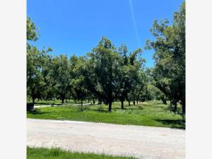 Terreno en venta en Parras, Parras, Coahuila de Zaragoza