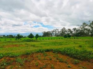 Terreno en venta en Huasca de Ocampo Centro, Huasca de Ocampo — foto 3 de 93