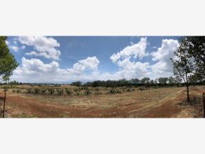 Terreno en venta en Huasca de Ocampo Centro, Huasca de Ocampo — foto 3 de 87