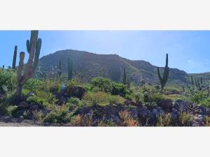 Terreno en venta en Pedregal de la Paz, La Paz — foto 3 de 10