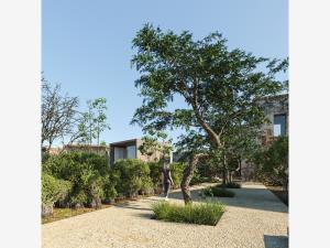 Terreno en venta en Telchac Puerto, Telchac Puerto — foto 3 de 21