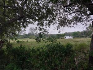 Terreno en venta en Primero de Mayo (Los Mangos), Pueblo Viejo — foto 3 de 6