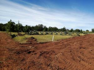 Terreno en venta en Huasca de Ocampo Centro, Huasca de Ocampo — foto 2 de 73