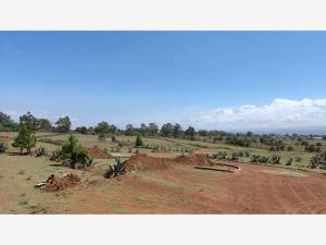 Terreno en venta en Huasca de Ocampo Centro, Huasca de Ocampo — foto 2 de 75