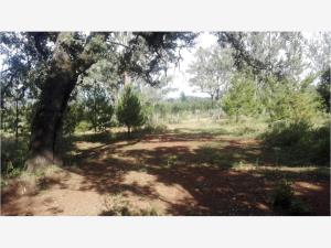 Terreno en venta en Huasca de Ocampo Centro, Huasca de Ocampo — foto 3 de 100
