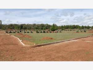 Terreno en venta en Huasca de Ocampo Centro, Huasca de Ocampo — foto 3 de 64