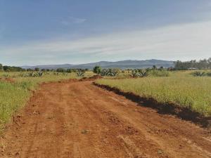 Terreno en venta en Huasca de Ocampo Centro, Huasca de Ocampo — foto 2 de 101