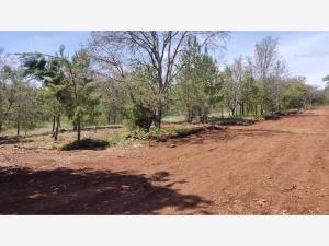 Terreno en venta en Huasca de Ocampo Centro, Huasca de Ocampo — foto 2 de 66