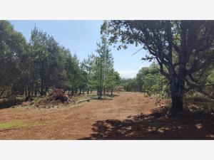 Terreno en venta en Huasca de Ocampo Centro, Huasca de Ocampo — foto 3 de 66