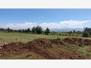 Terreno en Huasca de Ocampo Centro, Huasca de Ocampo, Hidalgo