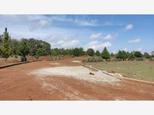 Terreno en venta en Huasca de Ocampo Centro, Huasca de Ocampo — foto 3 de 60
