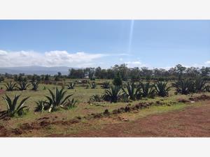 Terreno en venta en Huasca de Ocampo Centro, Huasca de Ocampo — foto 3 de 54