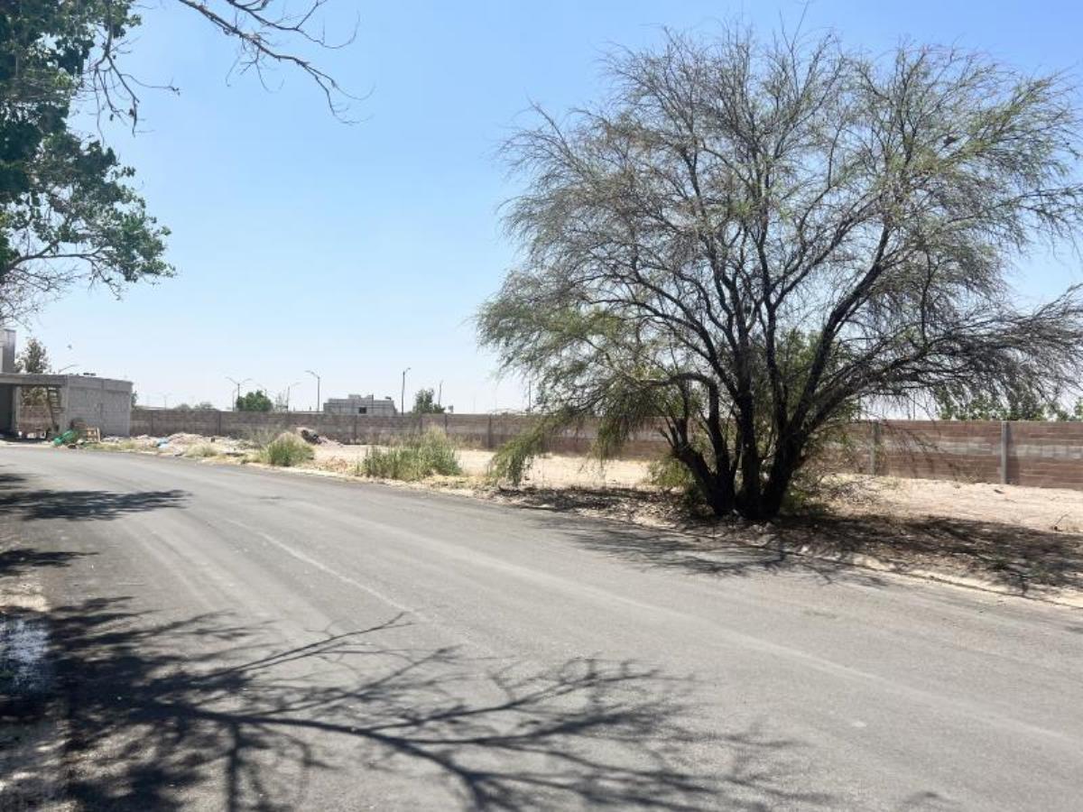 Terreno en Venta en Villas del Renacimiento, Torreón, Coahuila de Zaragoza