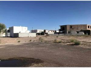 Terreno en venta en Villas del Renacimiento, Torreón — foto 3 de 3
