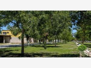 Terreno en venta en San Armando, Torreón — foto 2 de 6