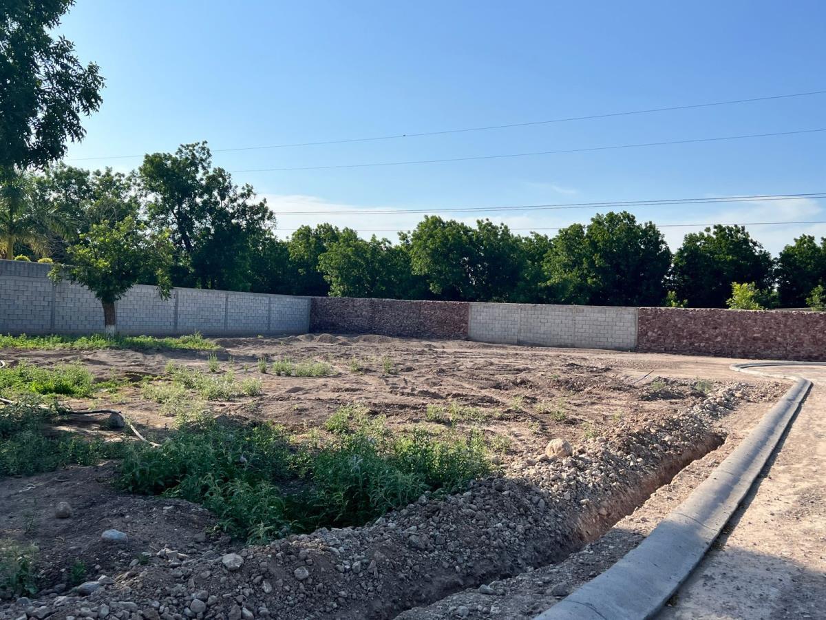Terreno en Venta en Las Trojes, Torreón, Coahuila de Zaragoza