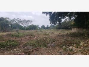 Terreno en venta en Anacleto Canabal 1ra. Sección, Centro — foto 2 de 2
