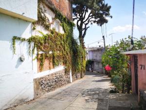 Casa en venta en Ocotepec, Cuernavaca — foto 2 de 52
