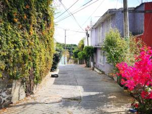 Casa en venta en Ocotepec, Cuernavaca — foto 3 de 52