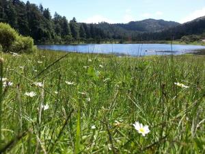 Terreno en venta en Mineral del Monte Centro, Mineral del Monte — foto 3 de 89