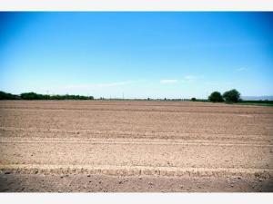 Terreno en venta en La Partida, Torreón — foto 2 de 3