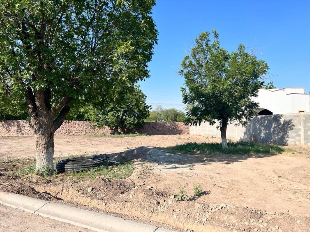 Terreno en Venta en Las Trojes, Torreón, Coahuila de Zaragoza