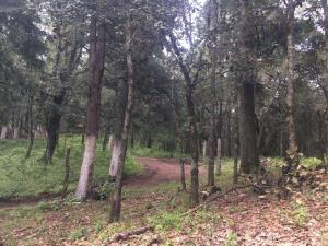 Terreno en venta en Mineral del Monte Centro, Mineral del Monte — foto 2 de 54